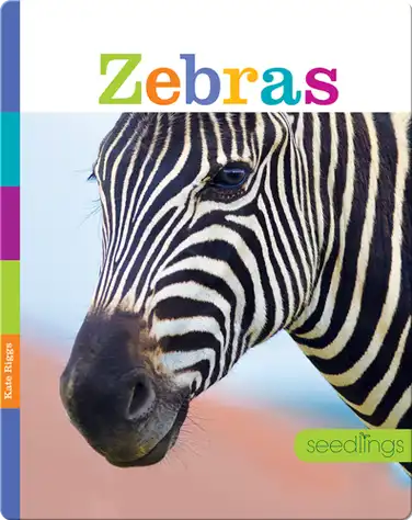 Zebras book