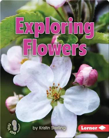 Exploring Flowers book