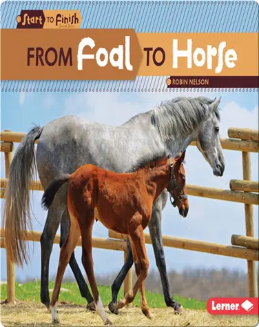 From Foal to Horse book