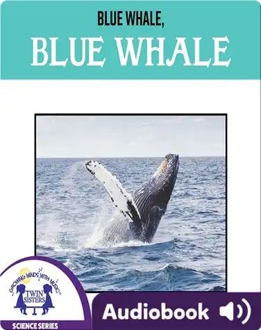 Blue Whale, Blue Whale book