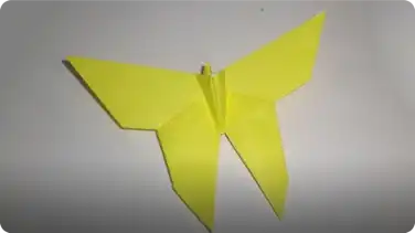 Origami Butterfly book