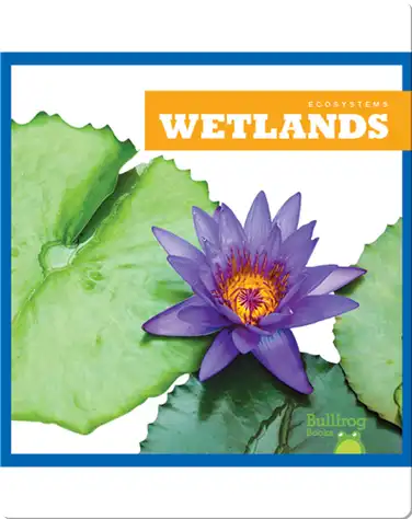 Wetlands book