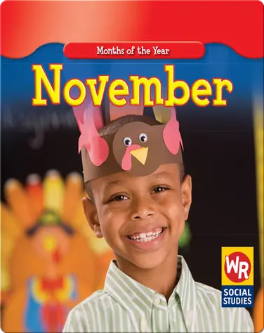 Months of the Year: November book