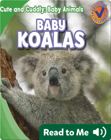 Cute and Cuddly: Baby Koalas book