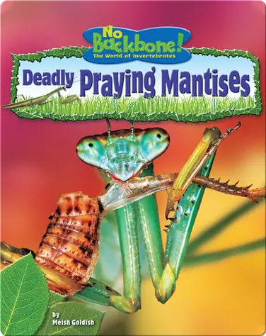 Deadly Praying Mantises book
