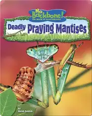 Deadly Praying Mantises