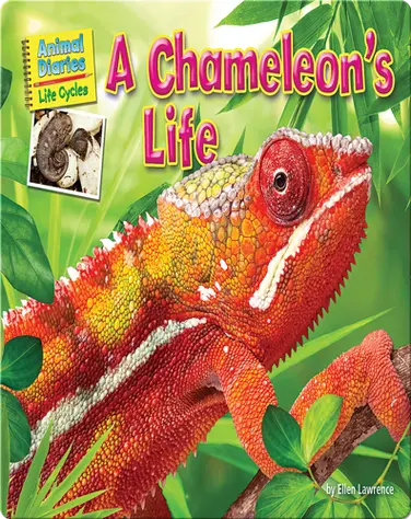 A Chameleon's Life book