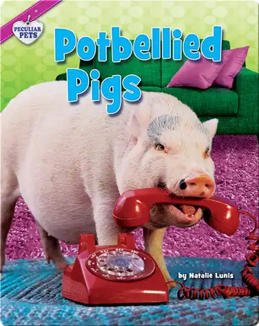 Potbellied Pigs book