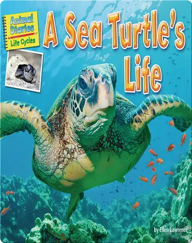 A Sea Turtle's Life book