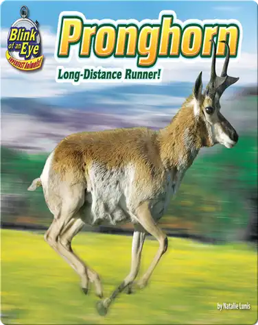 Pronghorn: Long-distance Runner! book