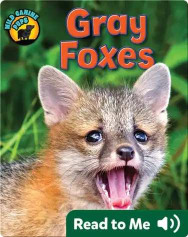 Gray Foxes book