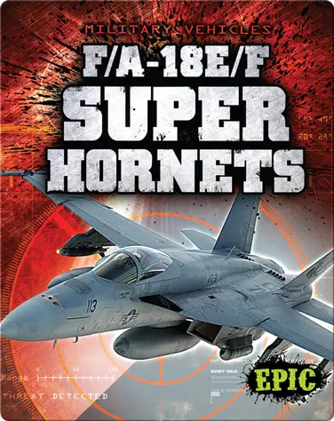 F/A-18E/F Super Hornets book