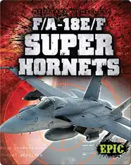 F/A-18E/F Super Hornets