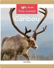 Caribou
