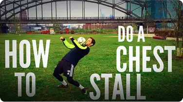 How to Do a Chest Stall book