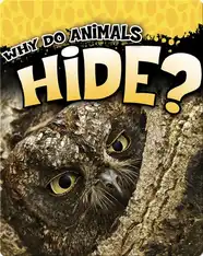 Why Do Animals Hide?