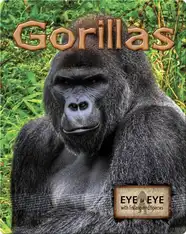 Gorillas