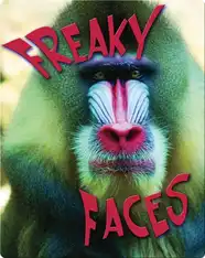 Freaky Faces