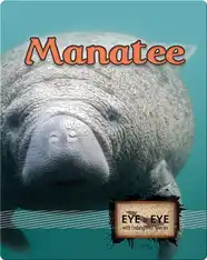 Manatees