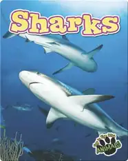 Sharks