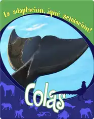 Colas