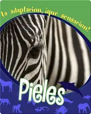Pieles