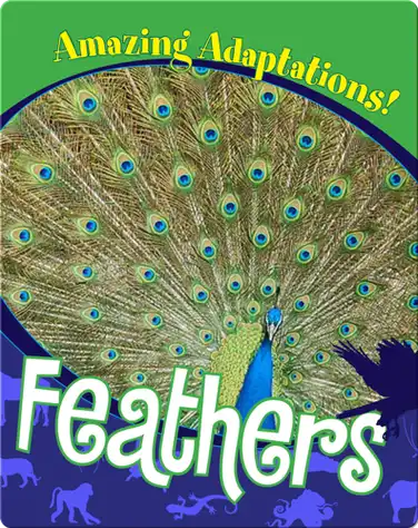 Feathers book