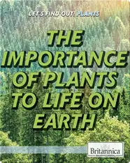 The Importance of Plants to Life on Earth