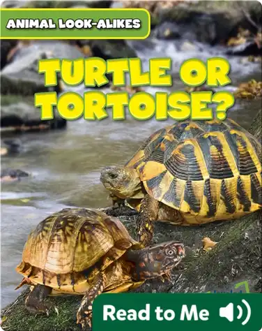 Turtle or Tortoise? book