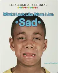 What I Look Like When I Am Sad