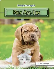 Pets Are Fun
