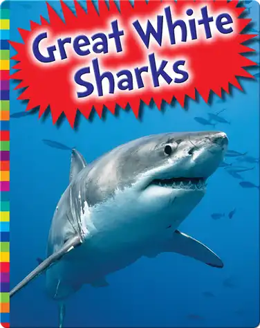 Great White Sharks book