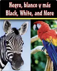 Negro, Blanco Y Mas  (Black, White, and More)