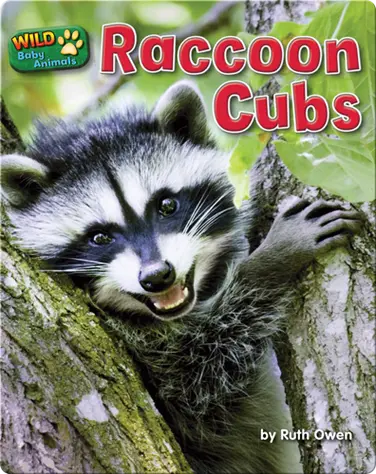 Raccoon Cubs book
