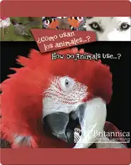 ¿Cómo usan los animales…? (How Do Animals Use…?)