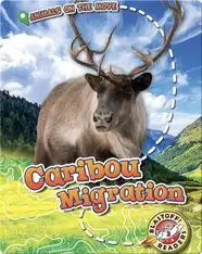 Caribou Migration