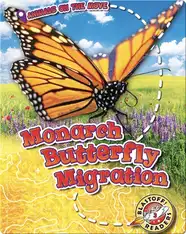 Monarch Butterfly Migration