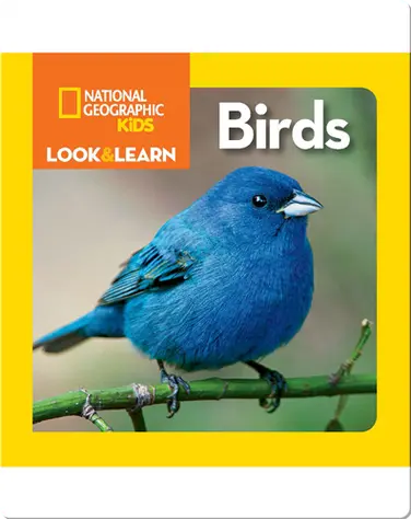 National Geographic Kids Look and Learn: Birds book