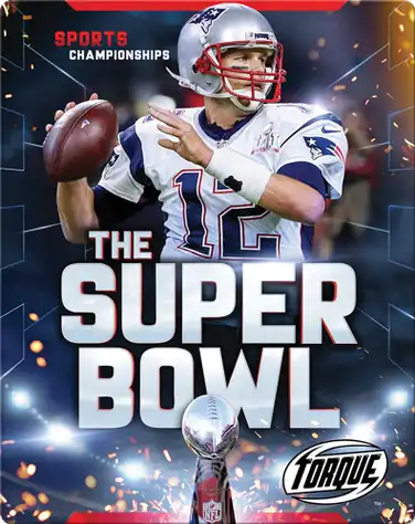 The Super Bowl book