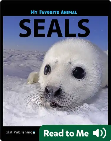 My Favorite Animal: Seals book