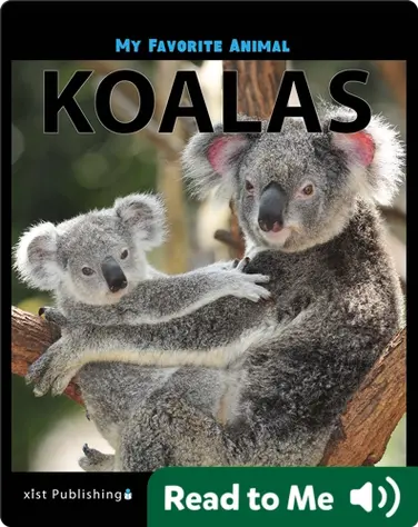 My Favorite Animal: Koalas book