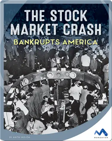 The Stock Market Crash Bankrupts America book