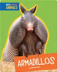 Armadillos