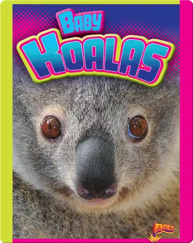 Baby Koalas book