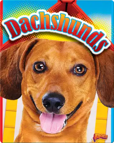 Dachshunds book
