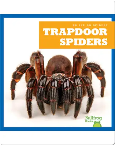 Trapdoor Spiders book