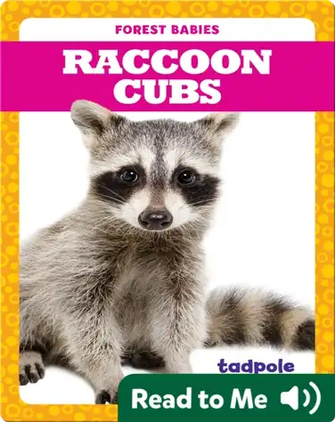 Raccoon Cubs book