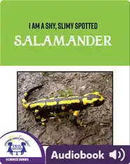 I Am A Shy, Slimy, Spotted Salamander
