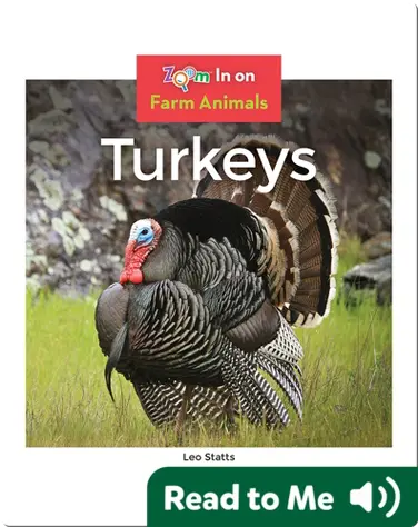Turkeys book