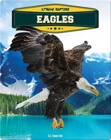 Eagles book